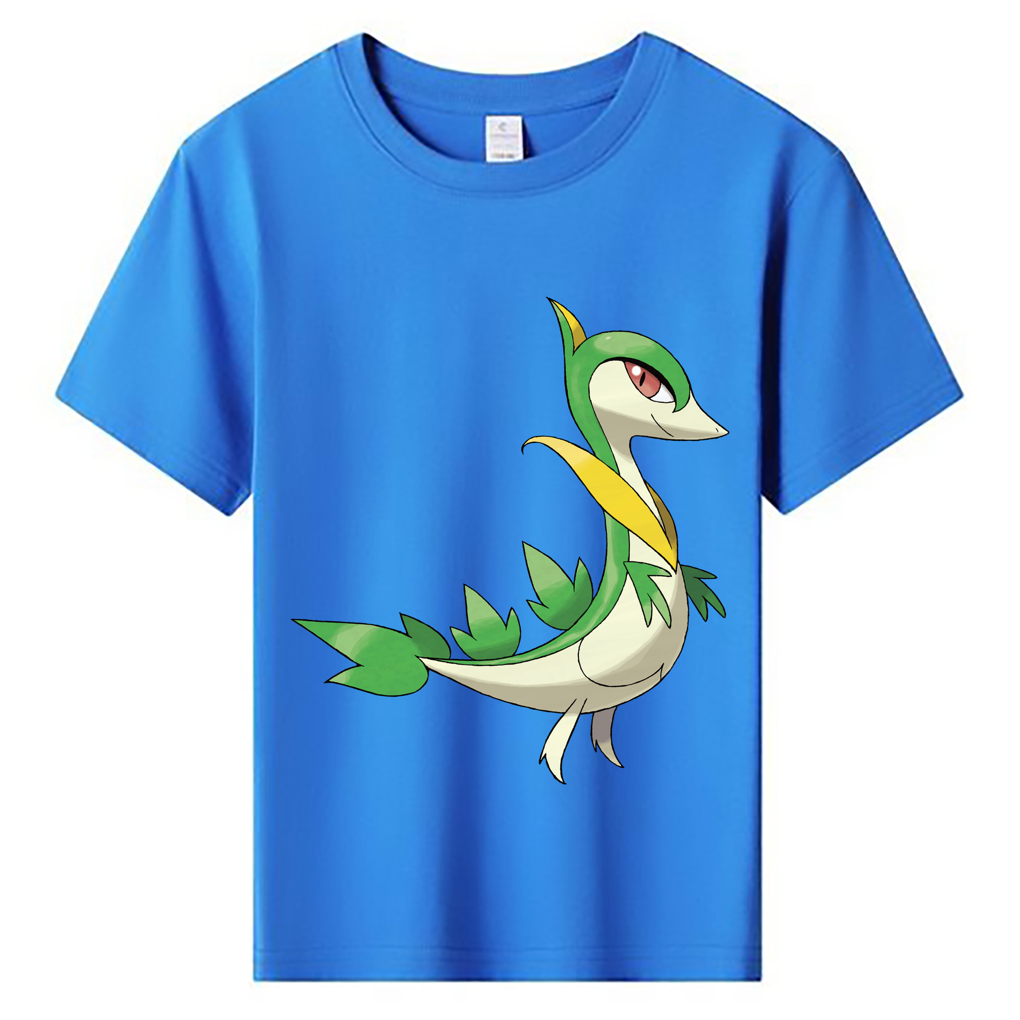 （画像用） ポケットモンスター Pokémon 綿100％キッズTシャツ（フロントプリント）
